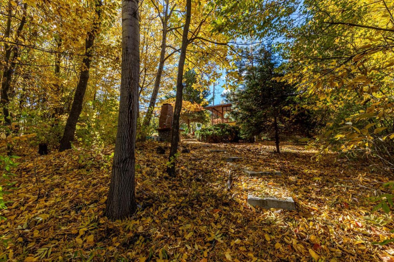 Cabana Din Padurea Valeni Vălenii de Munte Exterior foto